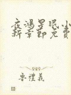 夜鸿星眠小说最新章节免费阅读