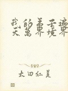 我的弟子遍布诸天万界境界划分