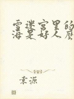 雪迷宫里的姜小海是好人么