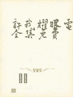 许我耀眼电视剧全集免费