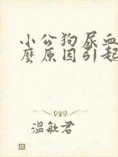 小公狗尿血是什么原因引起的