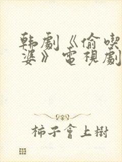 韩剧《偷吃的老婆》电视剧