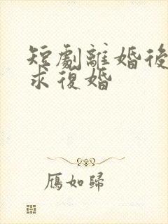 短剧离婚后前夫求复婚封面