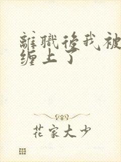 离职后我被上司缠上了封面