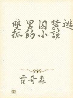 双男囚禁逃跑被抓的小说