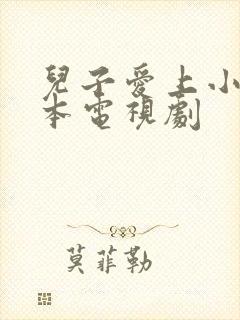 儿子爱上小妈日本电视剧