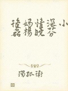 后妈情深小说王磊杨晓芬