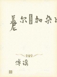 盖尔·加朵比基尼