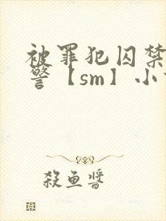 被罪犯囚禁的刑警【sm】小说