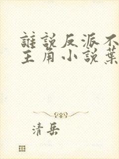 谁说反派不能当主角小说叶玄