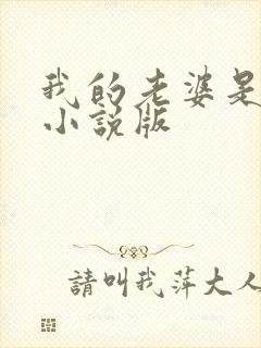 我的老婆是总裁小说版