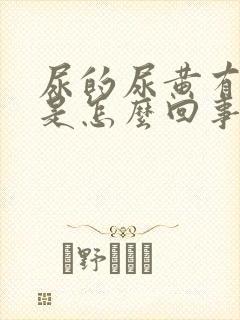 尿的尿黄有味道是怎么回事