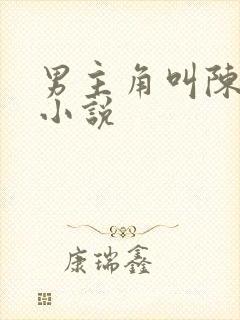 男主角叫陈东的小说封面