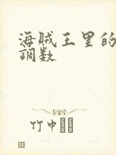 海贼王里的女帝调数