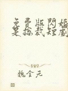 免费版闪婚老公是总裁短剧