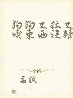 狗狗又拉又吐不吃东西没精神怎么办