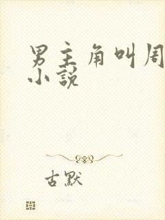 男主角叫周诚的小说