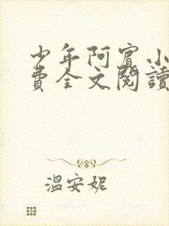 少年阿宾小说免费全文阅读无删减