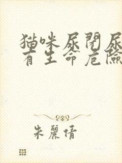 猫咪尿闭尿血会有生命危险吗封面