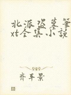 北派盗墓笔记txt全集小说