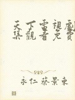 天下电视剧42集观看免费