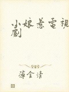 小娘惹电视连续剧