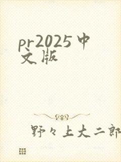 pr2025中文版