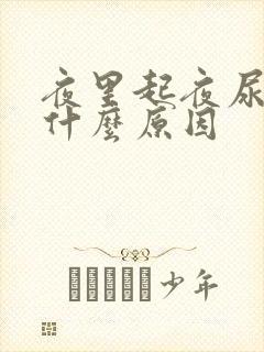 夜里起夜尿多是什么原因