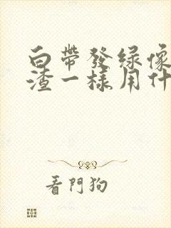 白带发绿像豆腐渣一样用什么药