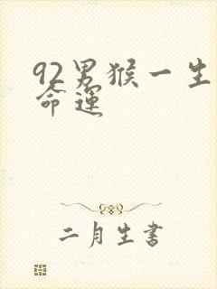 92男猴一生的命运