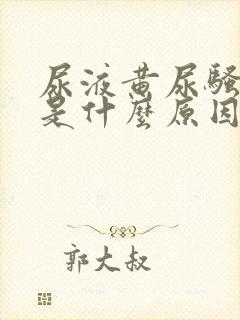 尿液黄尿骚味重是什么原因