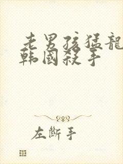 老男孩猛龙过江韩国杀手封面