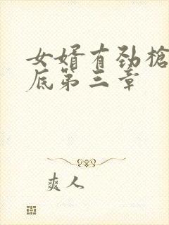 女婿有劲枪枪到底第三章封面