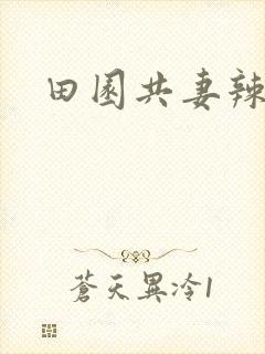 田园共妻辣