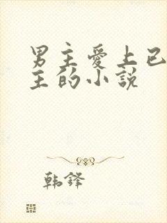 男主爱上已婚女主的小说封面