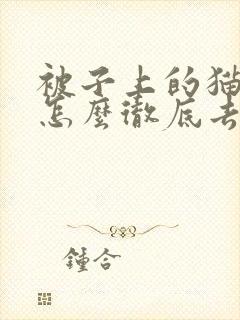 被子上的猫尿味怎么彻底去除