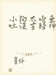 小狗不吃东西呕吐没有精神怎么办