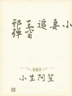 邪王追妻小说无弹窗