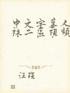 中文字幕人妻丝袜二区视频