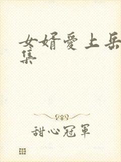 女婿爱上岳母剧集