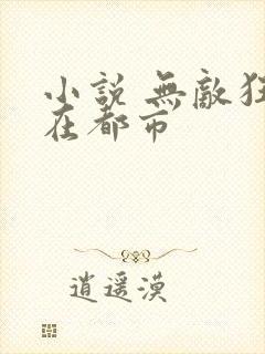 小说 无敌狂神在都市