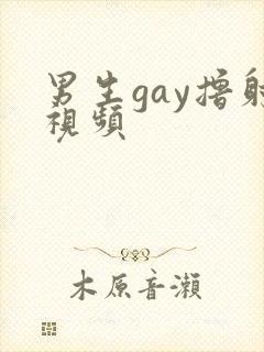 男生gay撸射视频