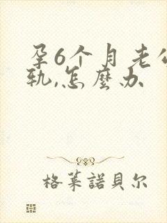 孕6个月老公出轨,怎么办