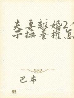 夫妻离婚2个孩子抚养权怎么判定