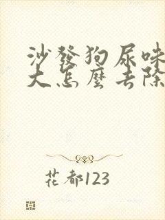 沙发狗尿味道很大怎么去除