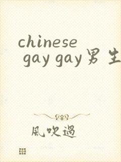chinese gay gay男生互操网站封面