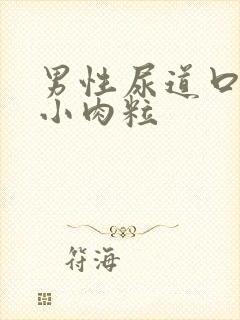 男性尿道口边有小肉粒封面