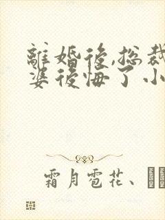 离婚后,总裁老婆后悔了小说