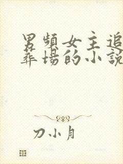 男频女主追夫火葬场的小说