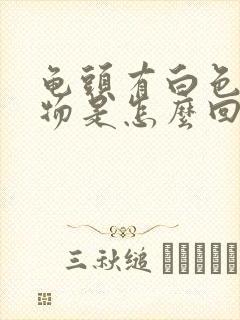 龟头有白色脓状物是怎么回事封面